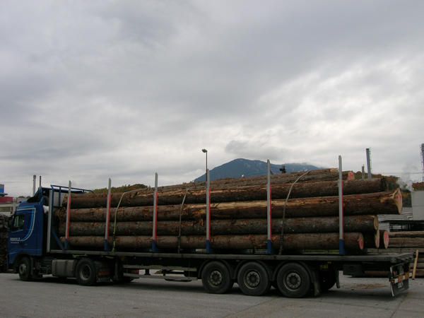 Holzlager mieten in Kärnten – Lagerflächenvermietung